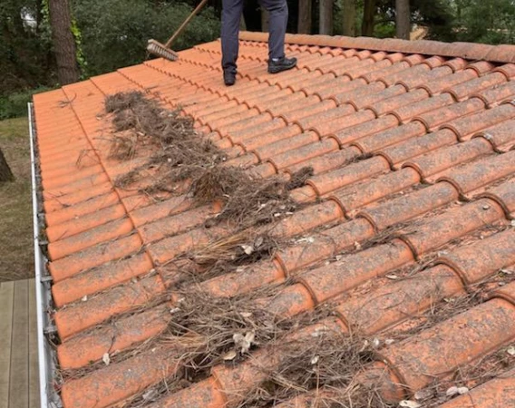 Nettoyage de Toiture en Dordogne
Description : Couvreur 24 effectue un nettoyage professionnel de toiture en Dordogne.